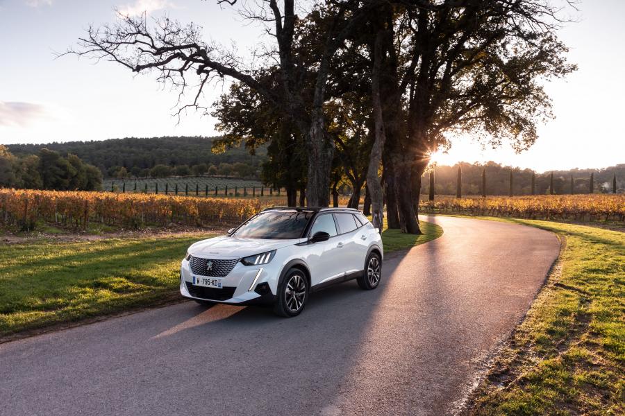  Peugeot e-2008 GT (Digital White) 2019 года  (WW) (фото 16 из 119)